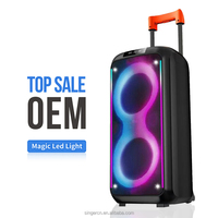 DR-8830 Nouveau Dual 8 Pouces RGB Light Trolley Haut-parleurs Guitar Amp Bass Combo Speaker For Street Performance