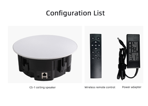 WiFi kablosuz tavan hoparlör dahili amplifikatör desteği WiFi BT5.4 USB Airplay çoklu oda oynatma ev ses sistemi - Product Image 5