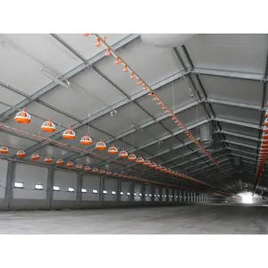 steel structure roof construction chicken house poultry farming / poultry shed prefabricated