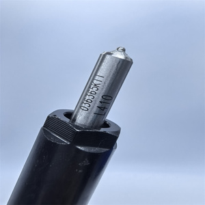 <span class=keywords><strong>Delph</strong></span> enjektör için yüksek kaliteli Common Rail yakıt enjektörü 28280600 - Product Image 4