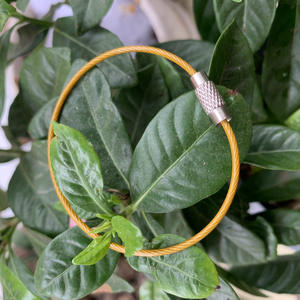 Rivestimento in Pvc cavo portachiavi cavo <span class=keywords><strong>filo</strong></span> in acciaio inossidabile anello rotondo Svrew <span class=keywords><strong>filo</strong></span> di acciaio rivestito in Nylon trasparente/bianco portachiavi - Product Image 3