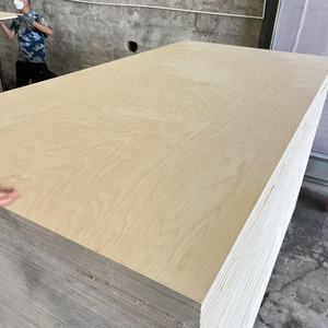 Panneau de contreplaqué imperméable marin de bouleau de 4x8ft 18mm - Product Image 3