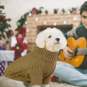 Jaket mantel kucing anak anjing warna polos klasik mode desain cetak perlengkapan hewan peliharaan untuk anjing untuk musim semi musim - Product Image 6