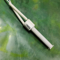 Kit de tube chauffant de remplacement en céramique pour allumeur de poêle à granulés 120V 100-120W 900-1000W haute température économe en énergie