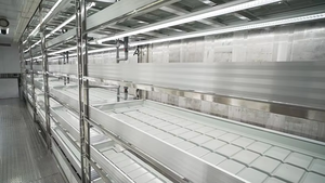 Conteneur de 40 pieds Conteneur aéroponique pour ferme de safran Conteneur d'expédition pour ferme verticale de safran - Product Image 4