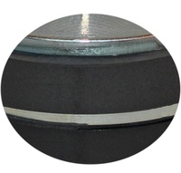 Conducteur de Compression de tweeter en titane pour professionnel 40W WLG120-1