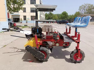 Nouveau modèle <span class=keywords><strong>de</strong></span> transplanteur automatique <span class=keywords><strong>de</strong></span> semis pour la plantation <span class=keywords><strong>de</strong></span> choux, <span class=keywords><strong>de</strong></span> laitues et <span class=keywords><strong>de</strong></span> brocolis, 1 à 6 rangs réglables - Product Image 3