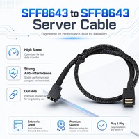 Cable de servidor para almacenamiento en centros de datos, interfaz Mini SAS HD SFF-8643, 12 Gbps por canal, conector con mecanismo de bloqueo de clip de acero
