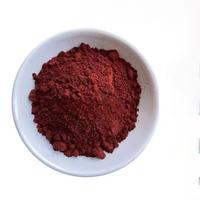 Poudre de Rhodymenia palmata dulse séchée organique naturelle de haute qualité d'origine océan Atlantique de qualité alimentaire vente en gros paquet OEM