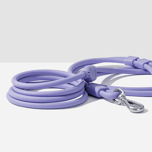 Laisse de chien portable en PVC avec distributeur de sacs à déjections, sangle réfléchissante, poignée confortable, écologique, design simple et tendance pour la promenade des chiens - Product Image 2