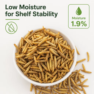 Larvas de Mosca Soldado Negra con Alto Contenido de Proteínas para Alimento de Pollos y Mascotas - Product Image 3