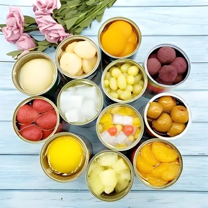 Meilleur <span class=keywords><strong>Prix</strong></span> Chine – Cocktail <span class=keywords><strong>de</strong></span> Fruits en Conserve Riche en Nutriments (Ananas, Cerise, Mangue, Orange) 500g – Goût Sucré Naturel - Product Image 4