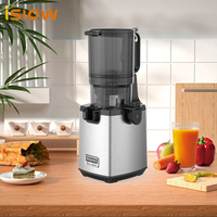 BK03 grande bouche en acier inoxydable Portable pur petite canne à sucre presse-agrumes robuste Jucer Machine lente fruits presse-agrumes