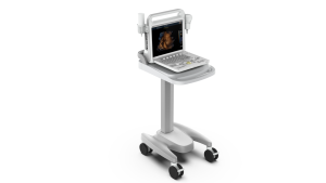 Gelt Medical portátil veterinario 3D <span class=keywords><strong>4d</strong></span> ultrasonido digital portátil color Doppler Ultrasonido - Product Image 4