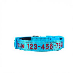Nom d'animal brodé bleu ciel, collier réfléchissant réglable personnalisé avec laisse pour chiens, taille S/M/L/XL en plusieurs couleurs - Product Image 1