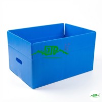 Boîte de manutention en plastique PP alvéolaire, pliable, étanche, ondulée, réutilisable, pour stockage et logistique, fournie directement par l'usine