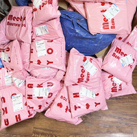 Cetak Label Sendiri Anda Sendiri, Kantong Polymailer Pengiriman Ramah Lingkungan 10x13, Tas Polymailer Logo Kustom