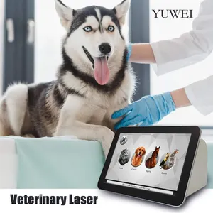 2023 nuova chirurgia portatile fredda attrezzatura per terapia Laser veterinaria animali domestici per alleviare il dolore