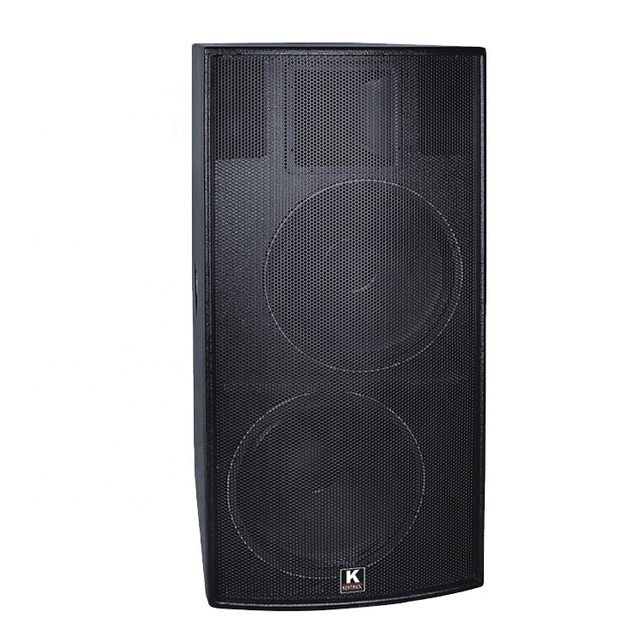 Professional 700 Watt Dual 15 Inch Power Speaker Audio Pro Stage 4 Speaker