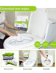 Biodegradable Flushable Wipes Single Packed Biodegradable Disinfecting Flushable Closestool Wet Cleaning Wipes Toilet Paper And Wipes Dispenser