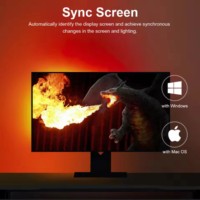 Kit de bande LED pour écran de télévision, synchronisation avec l'écran, alimentation USB, protection des yeux, éclairage biaisé pour téléviseur, moniteur, cinéma maison, décoration