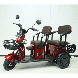 Y3-HL 3 Wheel Electric Scooter <strong>Trike</strong> 48v 3-Wheel <strong>E</strong> Bike with Roof Open Body Type 3 Wheels <strong>Enclosed</strong> Electric Tricycle - Product Image 3