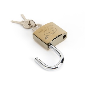 Gembok besi Sepuh kustom Keyed sama dengan keamanan tinggi dan daya tahan dengan fitur antimaling kunci <span class=keywords><strong>Mini</strong></span> kecil - Product Image 6