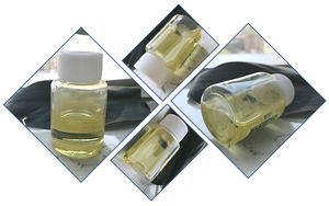 Ganoderma胞子油Reishiシリーズ製品トリテルペン20% min Reishi胞子油 - Product Image 6