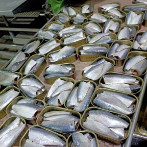 Sardines <span class=keywords><strong>en</strong></span> conserve Erica Brand 125g, 50 boîtes, <span class=keywords><strong>en</strong></span> conserve, à l'<span class=keywords><strong>huile</strong></span>, vente <span class=keywords><strong>en</strong></span> gros, saines, riches <span class=keywords><strong>en</strong></span> protéines, produits de la mer, qualité export, poisson <span class=keywords><strong>en</strong></span> conserve - Product Image 5