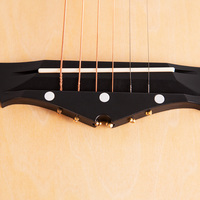 TN-AC-38I 38-Inch Colorful Basswood Acoustic Guitar Wood String Instrument for Beginners