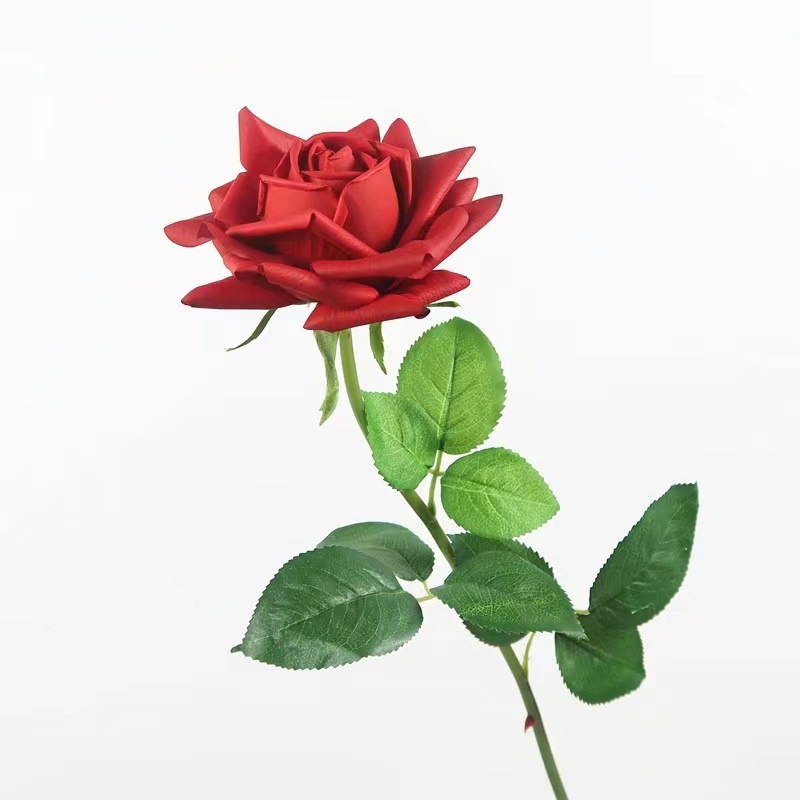 Rojo