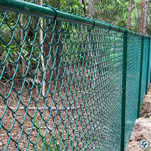 Vente en gros de clôtures à maillons galvanisés et PVC de 8 pieds pour panneaux de jardin à la maison - Product Image 5