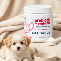 Poudre de probiotiques pour la santé digestive, marque privée OEM, usine chinoise, vente en gros