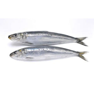 <span class=keywords><strong>Sardinas</strong></span> al por Mayor a Bajo <span class=keywords><strong>Precio</strong></span>, <span class=keywords><strong>Sardinas</strong></span> Enteras Redondas IQF, <span class=keywords><strong>Sardinas</strong></span> a Granel en el Comercio <span class=keywords><strong>de</strong></span> China - Product Image 1
