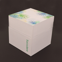 Boîte cadeau en papier personnalisée avec couvercle et base carrés pour plantes en pot, idéale pour les succulentes