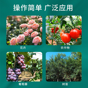 Ataduras de Plástico para Alambre 300mm 400mm 500mm 600mm Duraderas, Juego de Tres Piezas para Uso en Balcón, Soportes de Flores y Huertos - Product Image 3