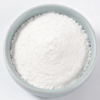 Polvo de Cáscara Calcinada de Alta Blancura, Relleno Funcional para Pintura, Recubrimientos, Industria del Plástico y del Caucho
