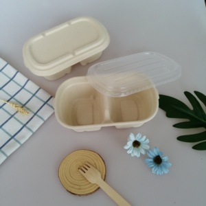 Compostable 500ml Packaging Containers Takeaway Food Delivery Paper Box Modern Food Box Disposable Lunch Box Paper Container