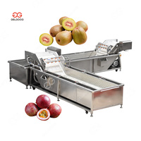 Industriële Passievrucht Wassen Reinigingsapparaat Lijn Kiwi Reiniger Machine Automatische Wasmachine Voor Fruit