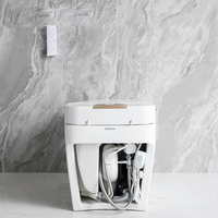 WC intelligent haut de gamme de luxe, cuvette de toilette moderne, toilette électrique automatique intelligente avec bidet