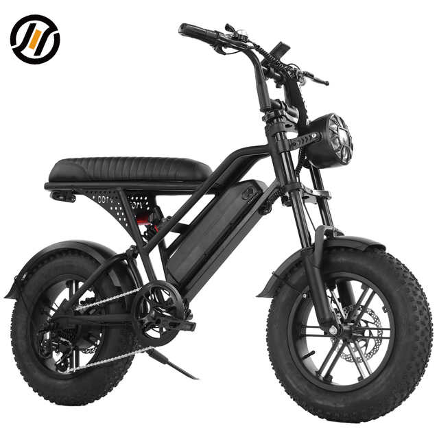 ESKUTE Custom Electrically Bike V100 Electric Bicycles 48V Fat Tyres Bike Fatbike Tire Ebik Cheap 500W Electric Dirt Bike