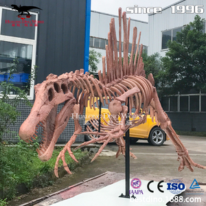 Precio de Fábrica: <span class=keywords><strong>Esqueleto</strong></span> de Dinosaurio Espinosaurio de Silicona Realista para Parques Temáticos - Product Image 5