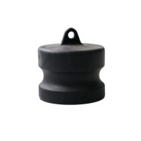Bouchon anti-poussière/adaptateur mâle de type DP en PP de 2 pouces, style Camlock, bouchon en polypropylène anti-corrosion pour tuyaux industriels