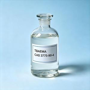 Approvisionnement d'usine TBAEMA 2-(tert-Butylamino)éthylméthacrylate CAS 3775-90-4 Haute pureté 98% <span class=keywords><strong>Monomère</strong></span> de méthacrylate fonctionnel amine - Product Image 1