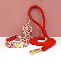 Hondenhalsbandset met fruitprint, zachte puppyhalsband met poepzakhouder en touwhalster, schattige modeaccessoires voor huisdieren voor alle hondenmaten