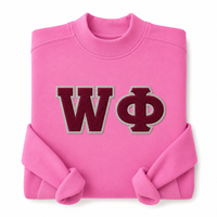 Sweatshirt Chenille Crewneck Custom Greek Life dengan Aplikasi Huruf Felt untuk Pakaian Fraternitas, Sororitas, dan Kampus