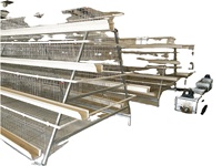 Cage à poules de type A en acier galvanisé à chaud pour fermes avicoles modernes de grande envergure (48-160 oiseaux) – Longue durée de vie