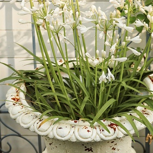 Grands pots de fleurs en pierre moulée de style européen vintage, jardinière, décor de jardin, revêtement en poudre, sans danger pour la maison, le centre commercial - Product Image 3