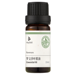 زيت رافينسارا العطري عالي الجودة 100% نقي بعلامة تجارية خاصة، مقطر بالبخار من مايفيلد، مناسب لجميع أنواع البشرة، عشبي - Product Image 1