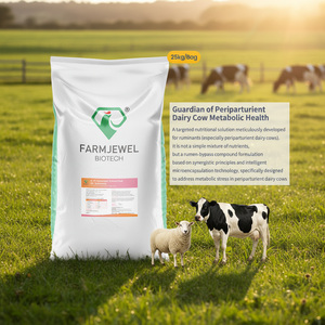 Prémélange composé protégé par <span class=keywords><strong>la</strong></span> bave rumineuse pour vaches en transition : prévient <span class=keywords><strong>la</strong></span> cétose, améliore <span class=keywords><strong>la</strong></span> production laitière et <span class=keywords><strong>la</strong></span> reproduction chez les bovins laitiers et de boucherie - Product Image 1